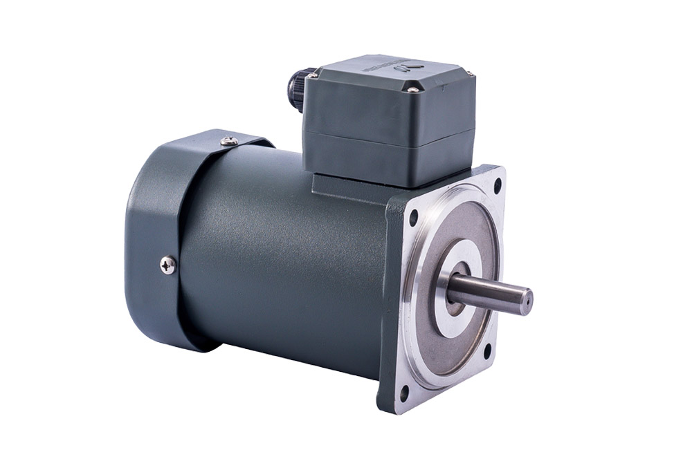 Micro AC Gear Motor (Round Shaft)
